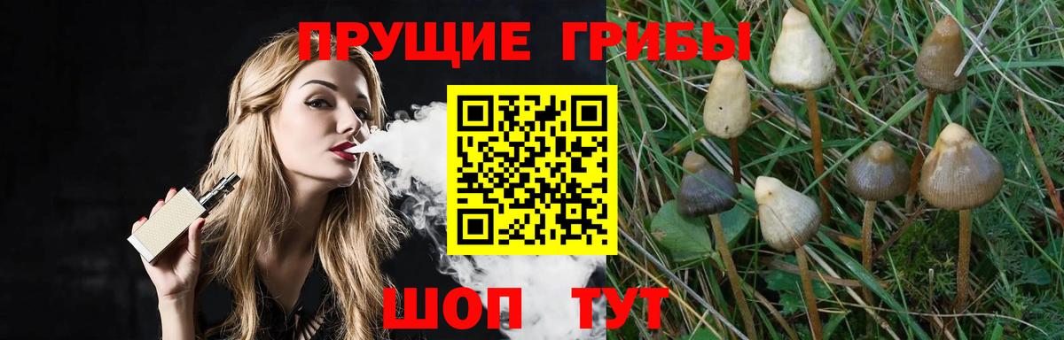 Галлюциногенные грибы MAGIC MUSHROOMS  Вход с VPN  Армавир 